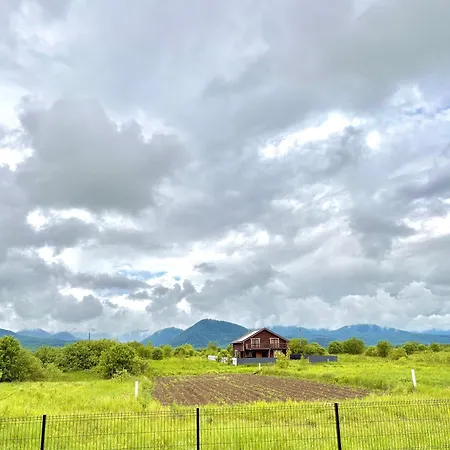 Mountain View * Vyshkove